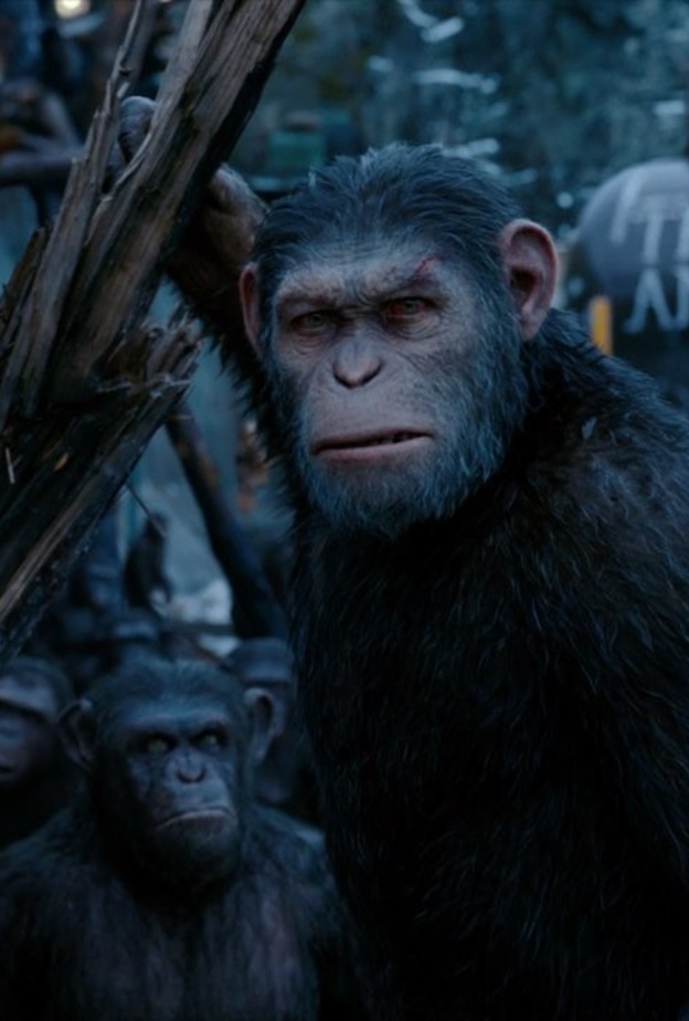 فيلم جديد جاري التحضير له لفيلم "Planet Of The Apes"