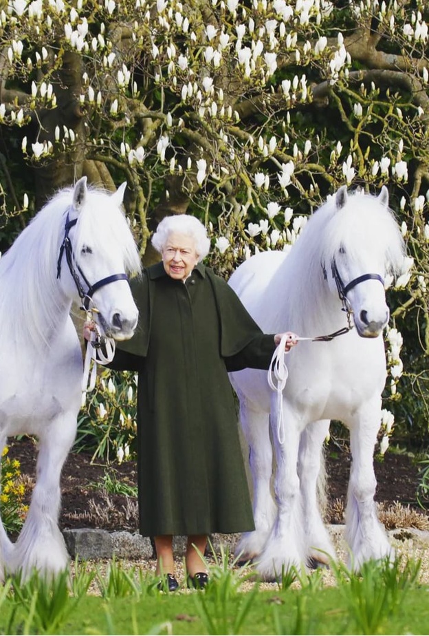 الملكة إليزابيث الثانية 