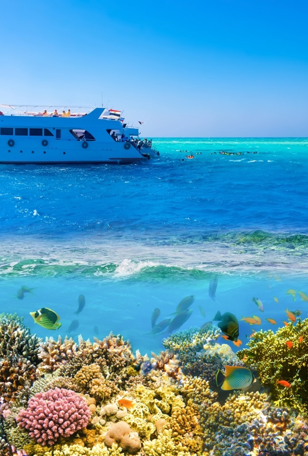 قائمة بالشواطئ التي اختارها المشاهير لممارسة رياضة الغطس.. وهكذا استعرضوا جمال الحياة تحت الماء 