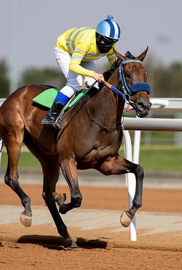 "أمل بنت فيصل" أول سعودية تُمنح رخصة "خيال" في سباقات الخيل