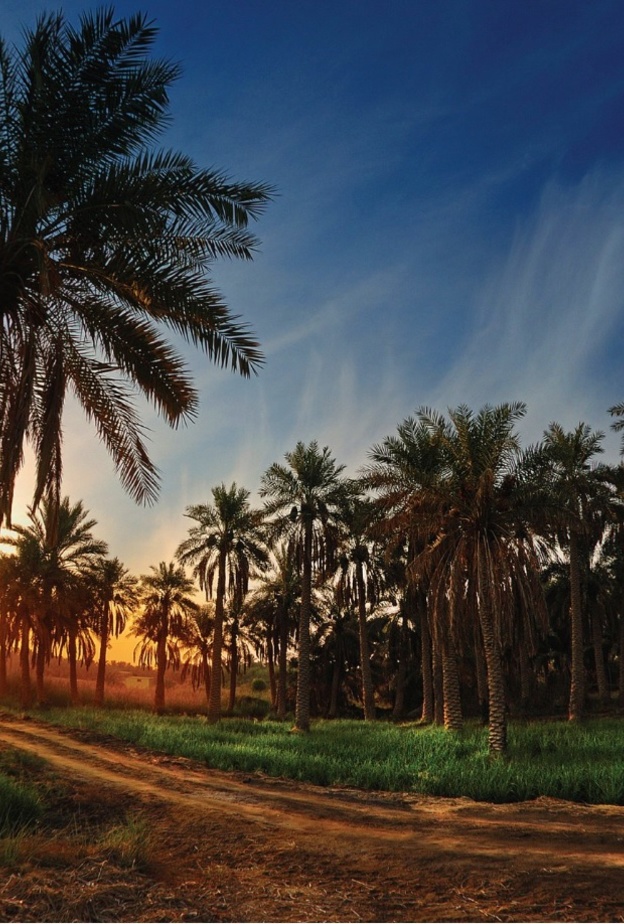 أجمل لقطات غروب الشمس في المملكة