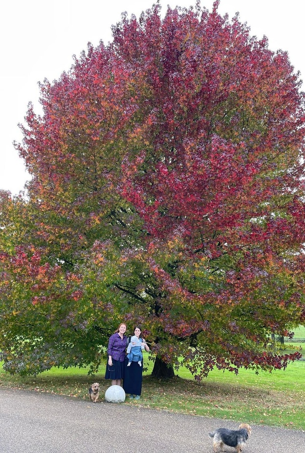 الأميرة يوجين تنشر صورة جديدة لطفلها