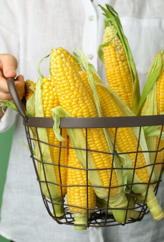 الذرة الصفراء مفيدة للصحة والبشرة.. لكن إحذري مخاطرها