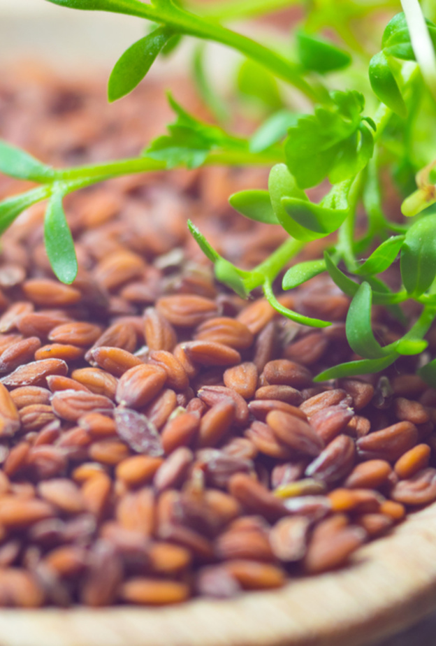 كيف يساعدك حب الرشاد على زيادة الوزن