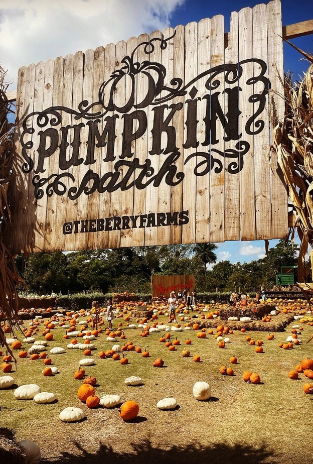 هكذا استعدت الأميرة مادلين وأطفالها للهالوين