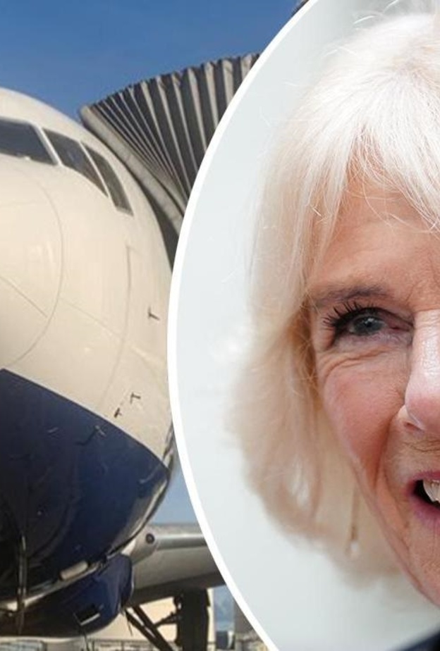 أزمة توجه طائرة الملكة كاميلا بسبب الطيور