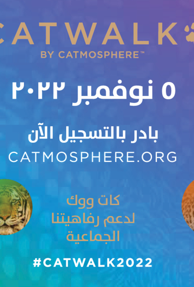 كاتموسفير تطلق مسيرة كات ووك المجتمعية للحفاظ على القطط البرية 