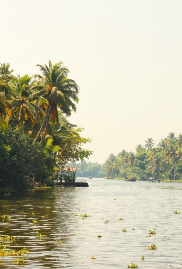 مدينة كيرلا الهندية الوجهة السياحية الانسب للعشاق