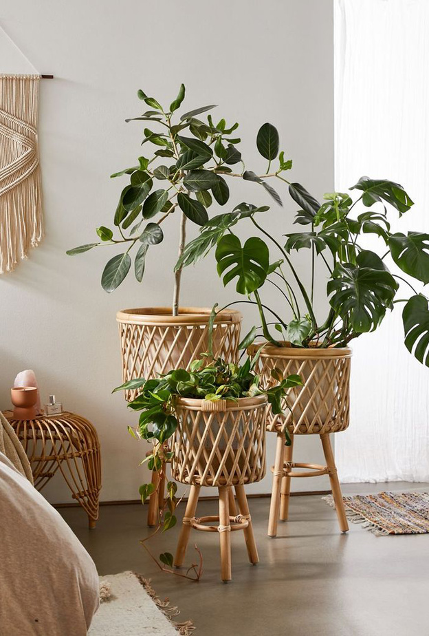أحواض نباتات طبيعية سلال من القش لديكورات غرف النوم