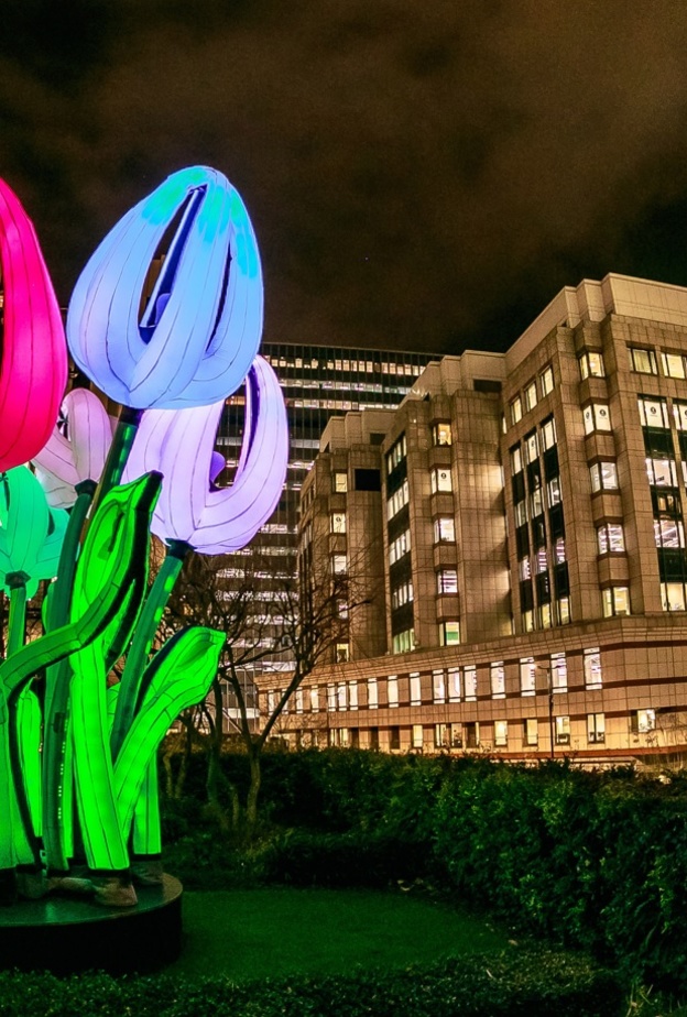 أضواء دبي تزيد من بهجة التجربة