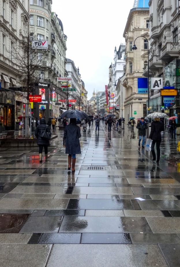 استمتع بتجربة السياحة في فيينا خلال موسم الشتاء بواسطة pxhere