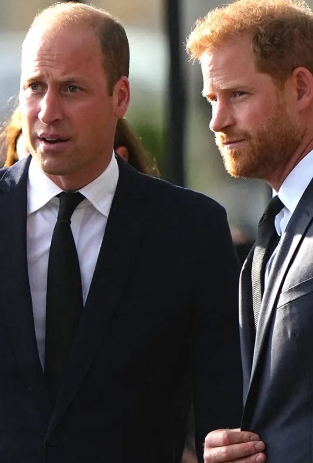 تعرفي على نشاط أعياد الميلاد المفضل للأميرين وليام وهاري عندما كانا صغيرين