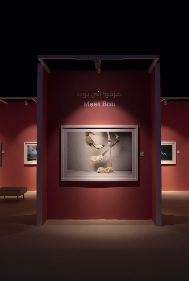 أجمل تجارب ومغامرات المصورين حول العالم في مهرجان التصوير "اكسبوجر"