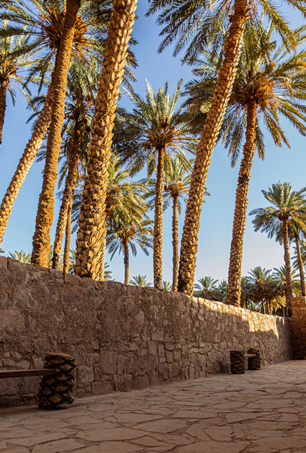 5 تجارب ساحرة تنتظر عشاق التراث والتاريخ في تيماء