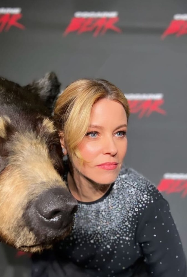 طرح برومو فيلم "Cocaine Bear"