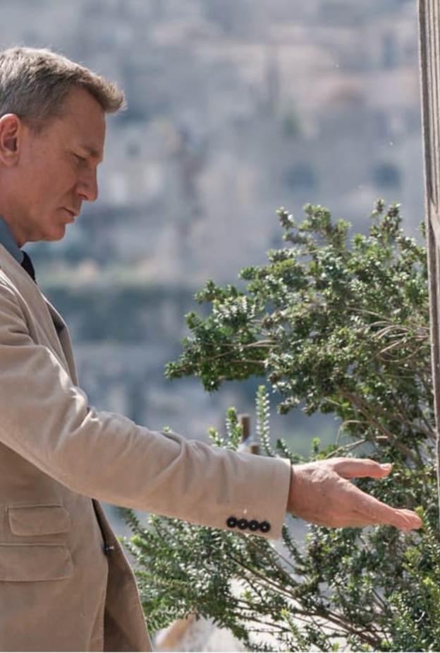 دانيال كريج 