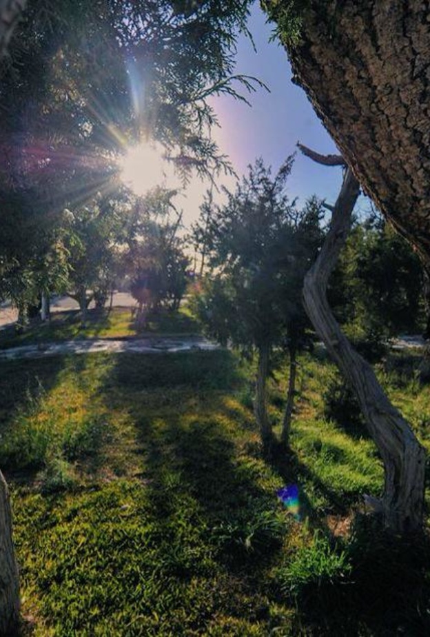 أجواء مثالية للاستجمام في غابة خيرة