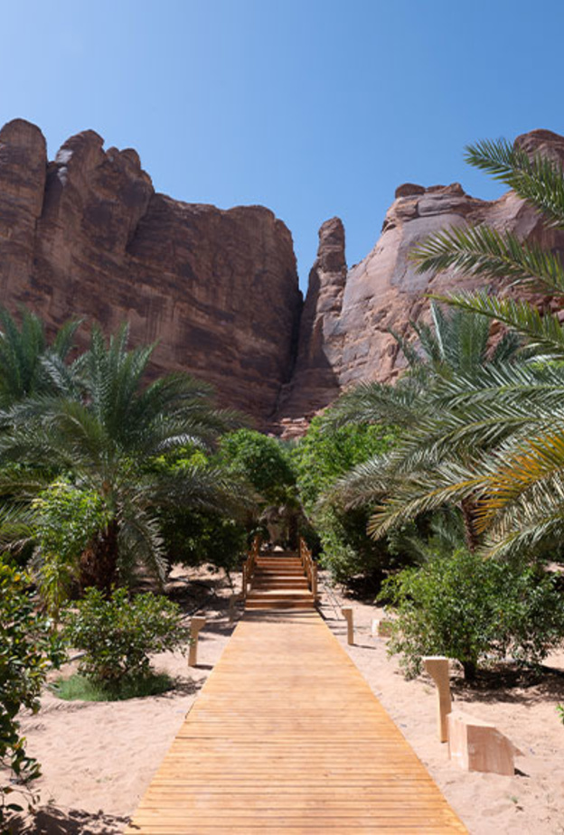 دروس يوغا وسط المناظر الطبيعية في فعالية فايف سنسِس سانكشواري