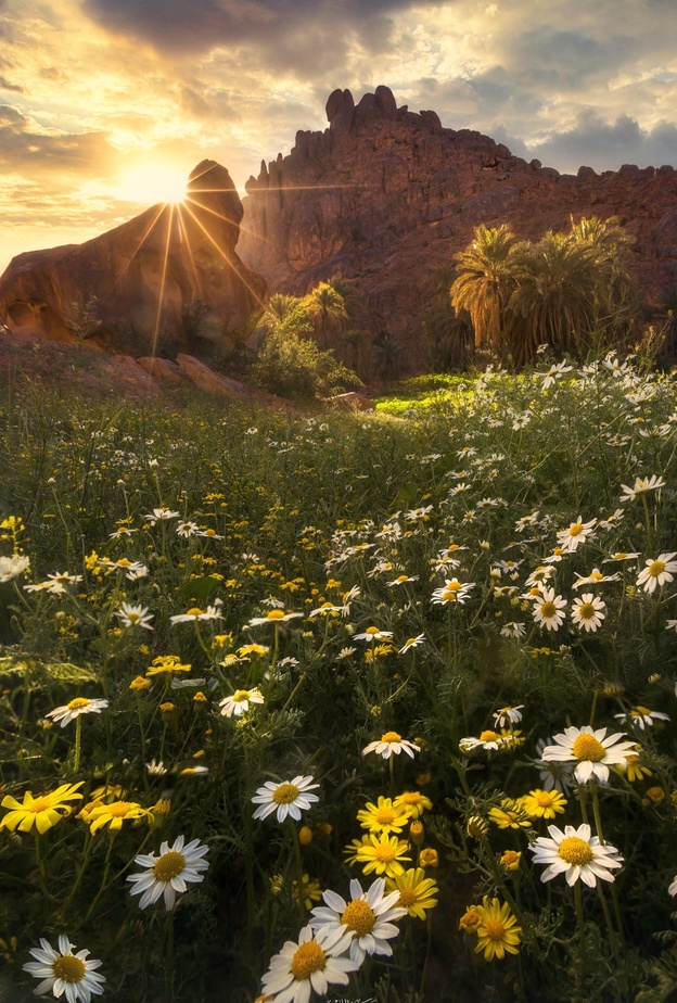 طبيعة لا مثيل لها في حائل - المصدر @farhan_photo.