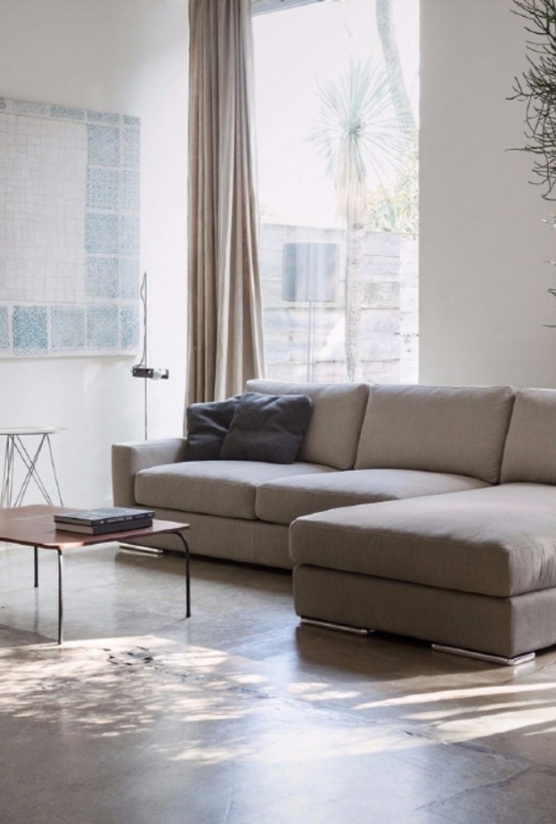 أحواض النباتات تزيين غرفة المعيشة