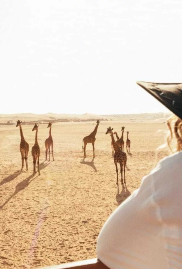 استكشفوا الحياة البرية في سفاري نوفا