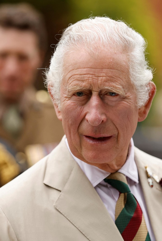 الملك تشارلز والعمل الخيري