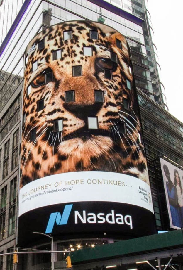 الهيئة الملكية لمحافظة العلا تحتفي بـ يوم النمر العربي