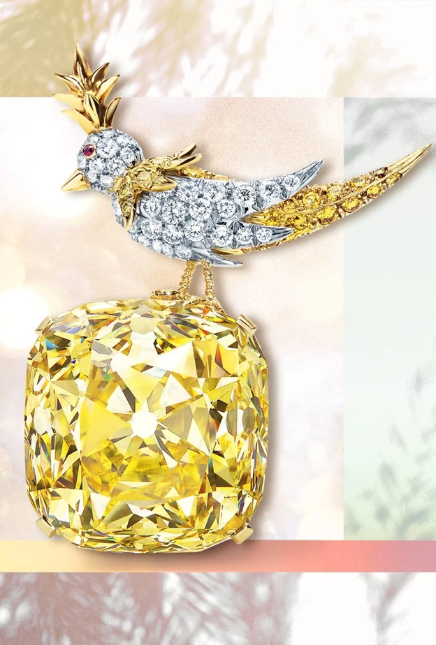 بروش Bird on a Rock من ابداع جان شلامبرجيه لعلامة تيفاني