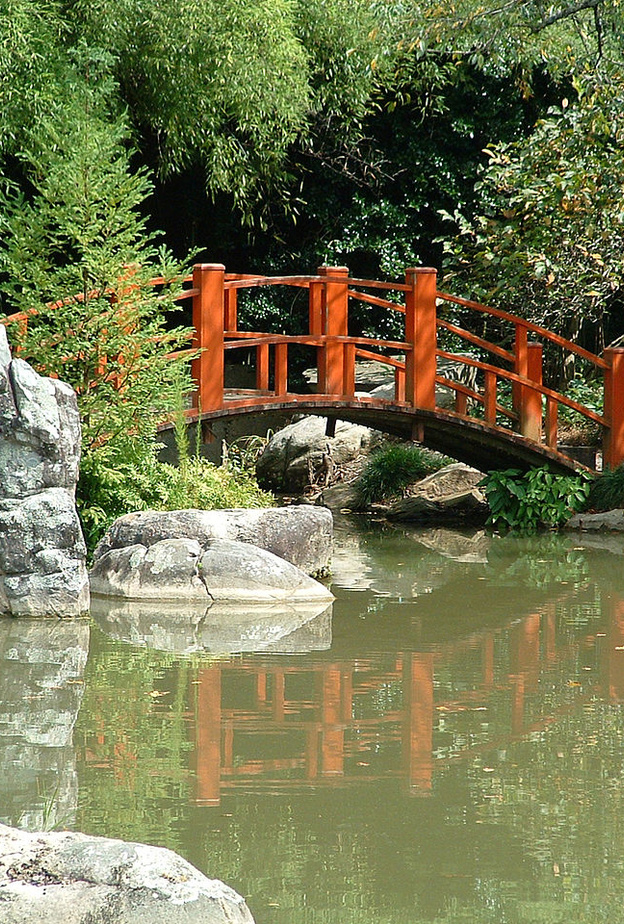 الحديقة النباتية في برمنجهام بواسطة  Max Wolfe