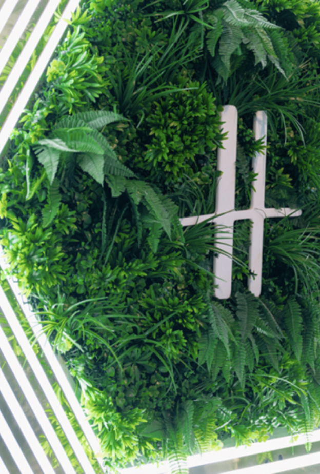 برنامج "هارودز هايف"