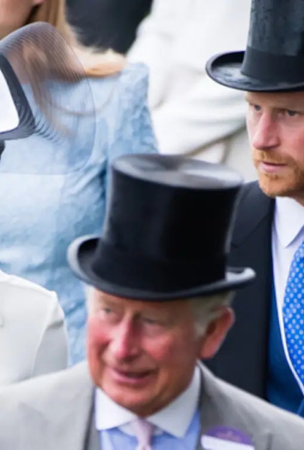 الملك تشارلز فكر جديا في تجريد الأمير هاري من لقب دوق ساسيكس