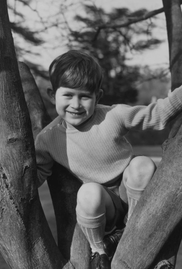 تشارلز الثالث وهو يتسلق الأشجار مثل أطفال صغار آخرين