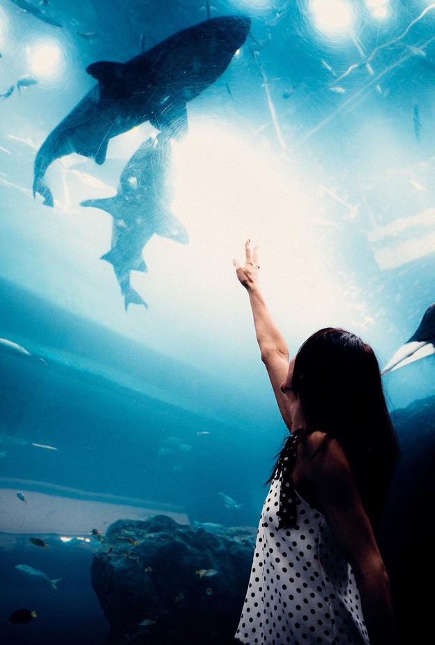 7 تجارب ترفيهية عائلية لا تفوتوها في دبي 