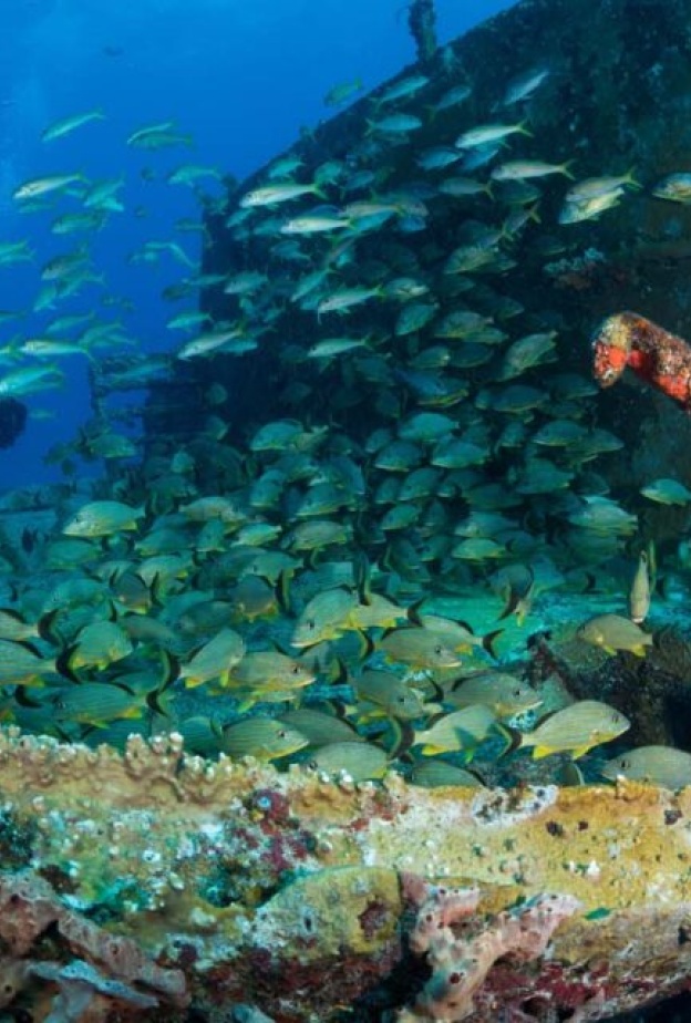 موقع حطام بارجة الاسمنت CEMENT BARGE