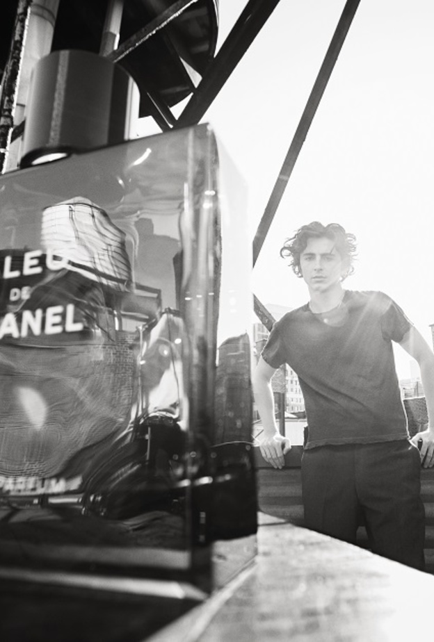 النجم تيموتي شالامي