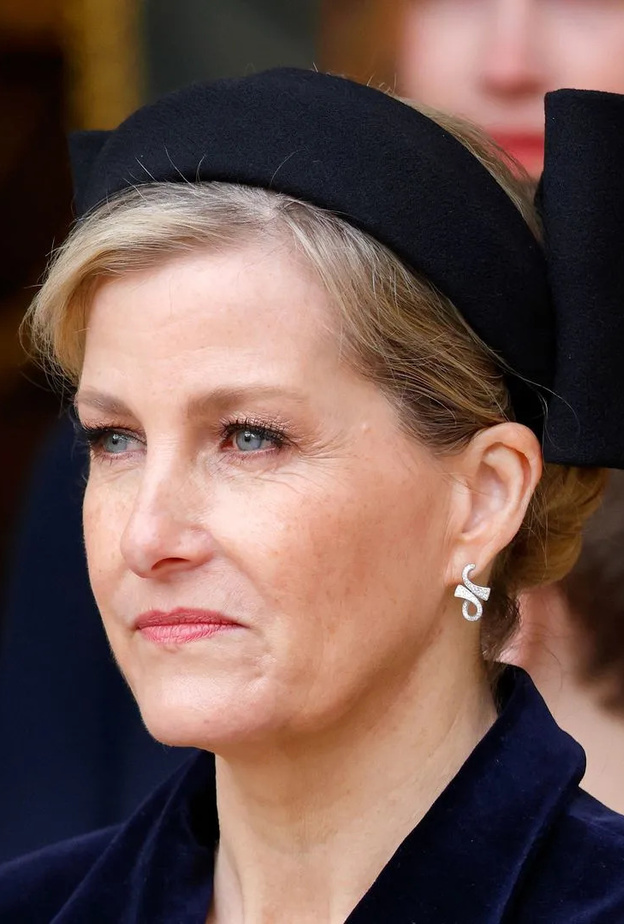 قصر باكنغهام يعلق على وفاة السيدة التي اصطدم بها موكب صوفي دوقة إدنبره