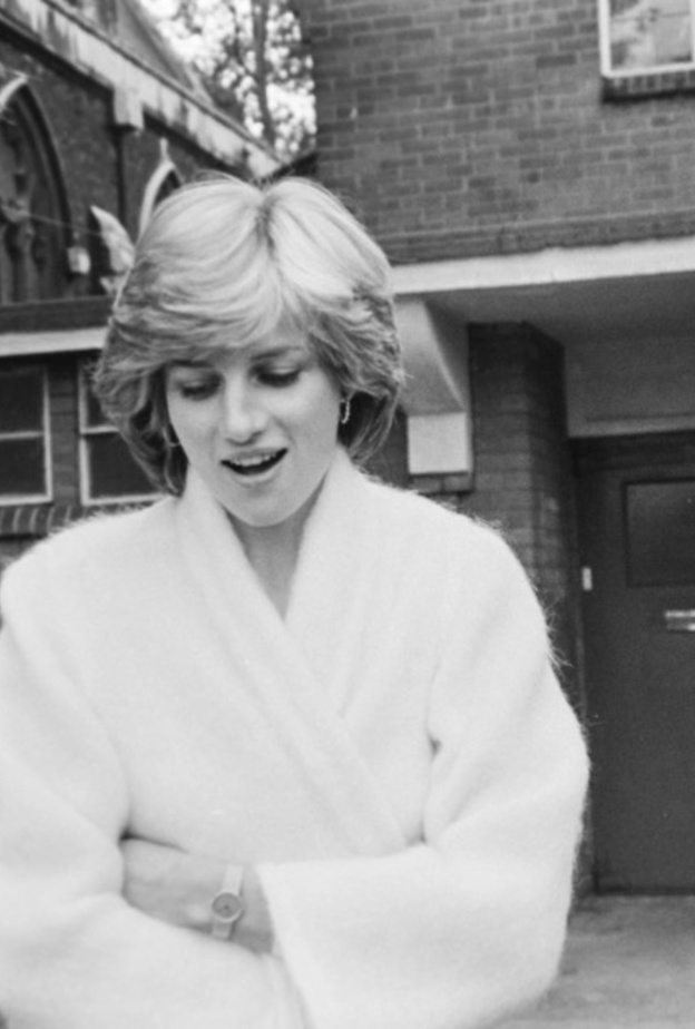 وظائف لن تصدقوها شغلها أفراد في العائلة المالكة البريطانية