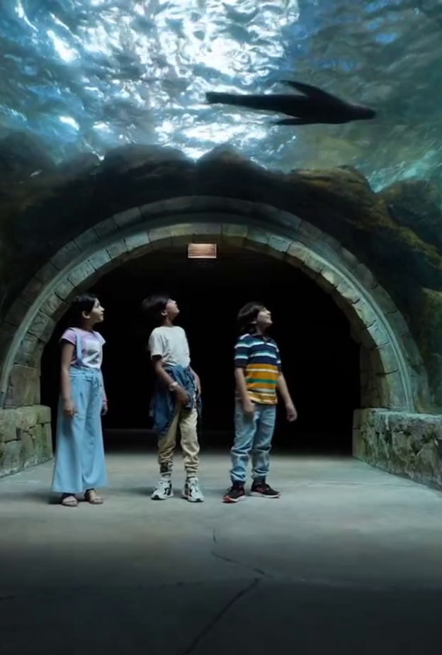 سي وورلد أبوظبي