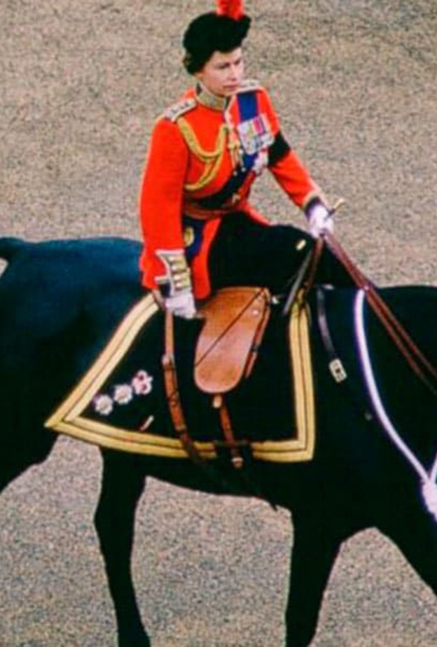 في عام 1969 تلقت الملكة فرس أسود بورمي كهدية من شرطة الخيالة الكندية الملكية وضمته الملكة إلى مجموعاتها الخاصة من الخيول