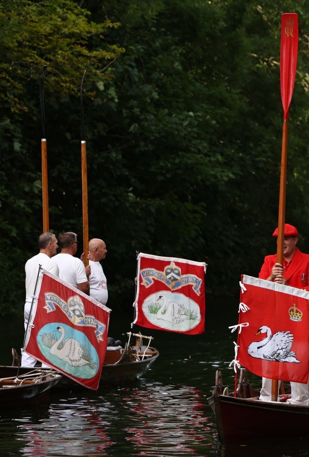 الملك تشارلز الثالث يشارك في إحصاء بجع نهر التايمز