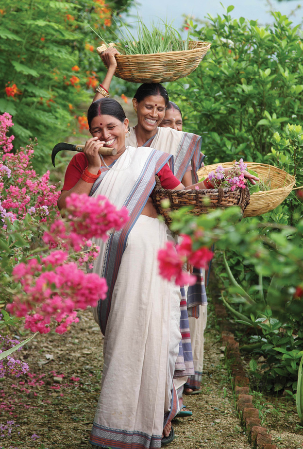 علامة Forest Essentials تُعيد إحياء علم الأيورفيدا التقليدي .. رحلة مميزة إلى الهند لاستكشاف أسلوب حياة استثنائي