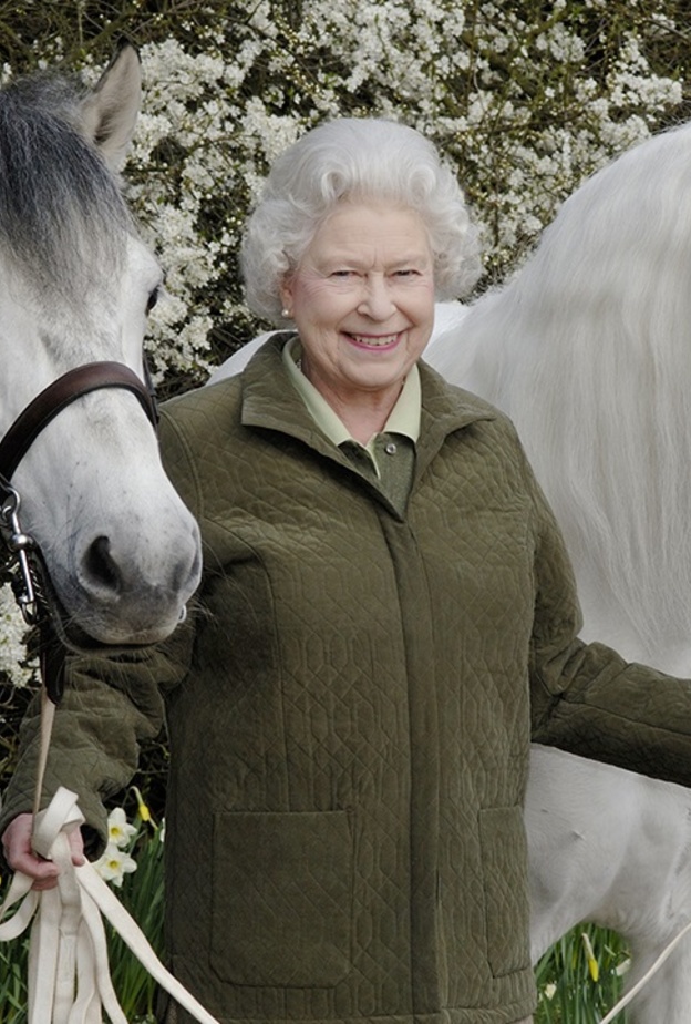 أجمل صور أفراد العائلة المالكة البريطانية بصحبة خيولهم