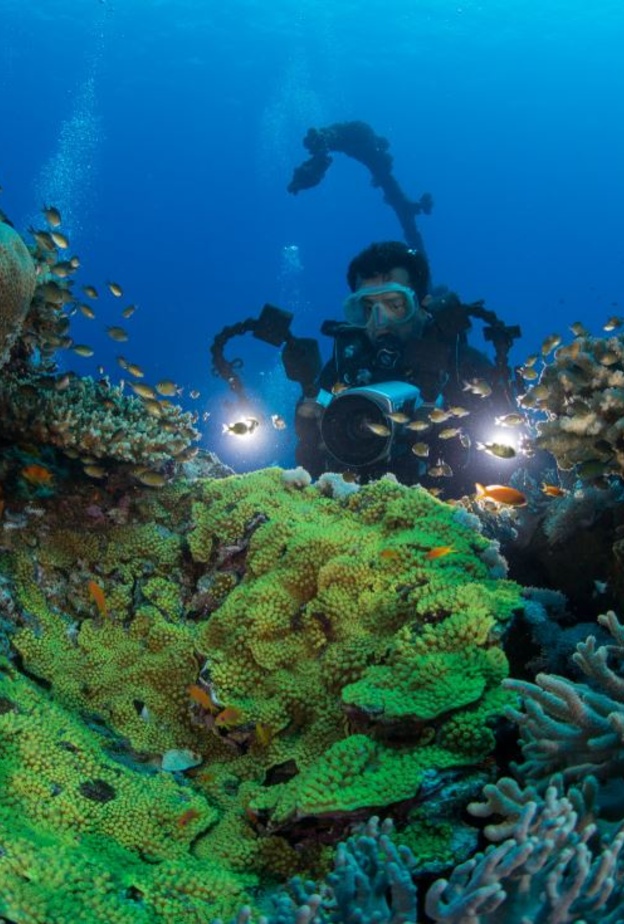 تعشقين الطبيعة والأجواء البحرية.. إليك أجمل 7 تجارب يمكنك الاستمتاع بها في ينبع