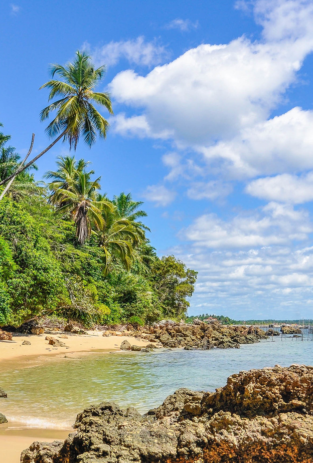 خططي لرحلتك السياحية القادمة في أجمل الجزر البرازيلية