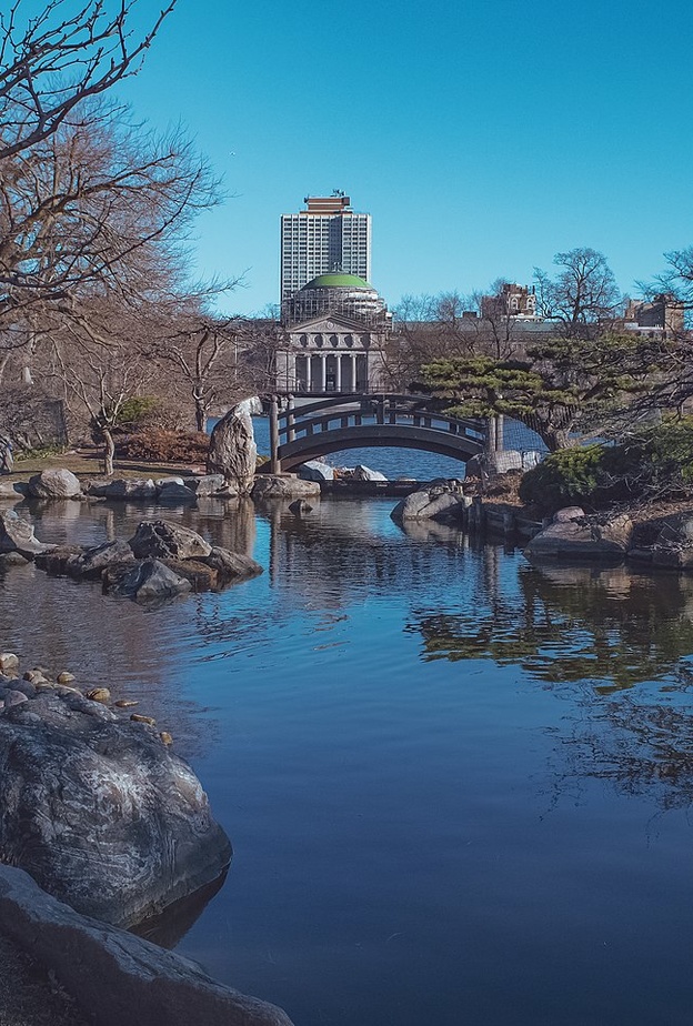 حديقة جاكسون بارك في شيكاغو بواسطة Michael Christensen