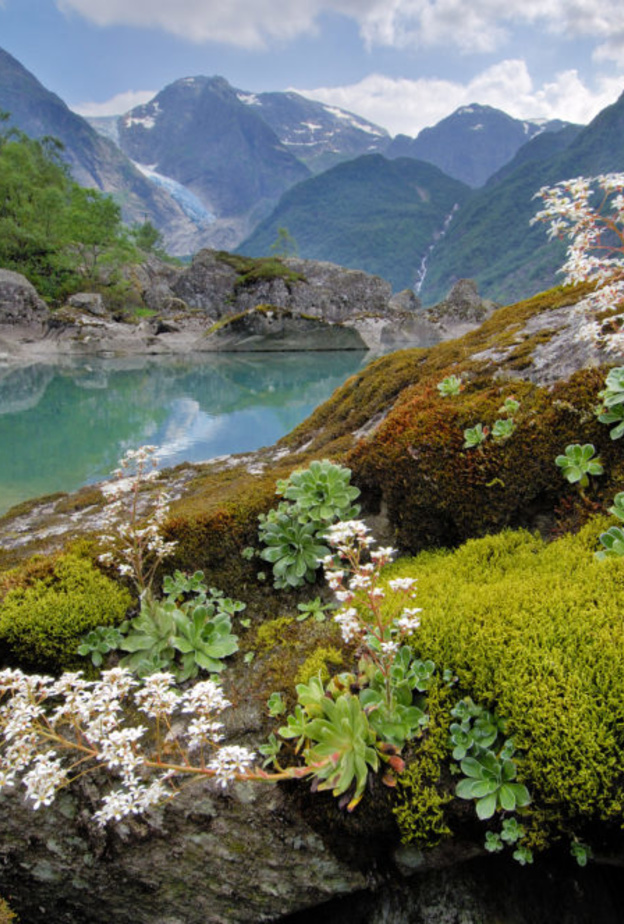 شاهدي أجمل الحدائق الوطنية في النرويج