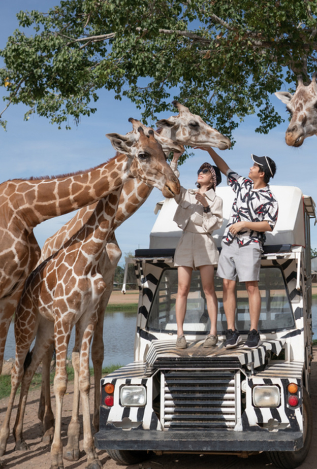 نصائح للتخطيط لرحلة سفاري مثالية لإجازة شهر العسل