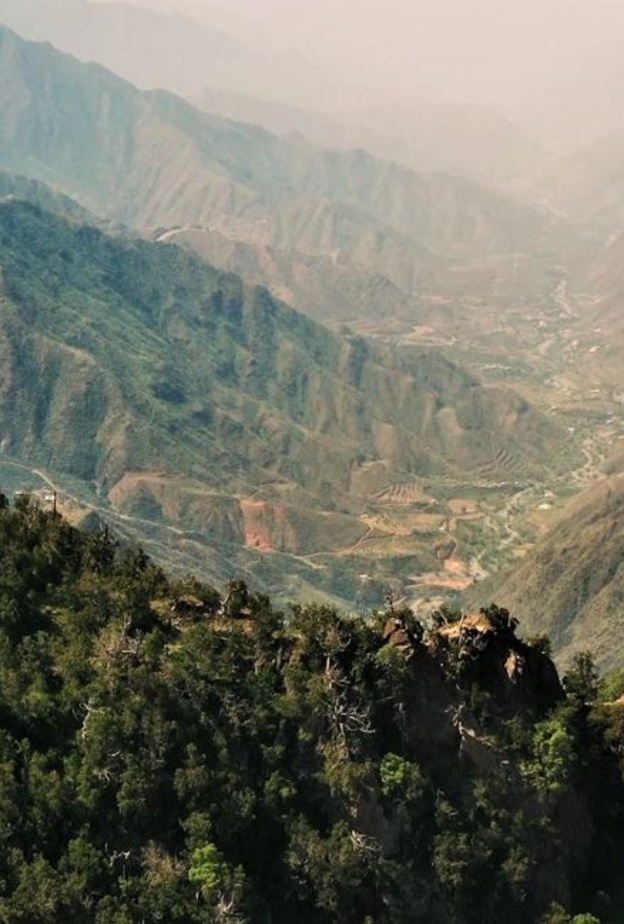 سمو ولي العهد يُطلق مشروع قمم السودة.. أحدث وجهة للسياحة الجبلية الفاخرة