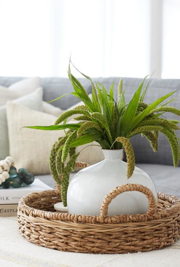 7 أفكارلإضافة النباتات المنزلية إلى بيتك بشكل جميل وصحي