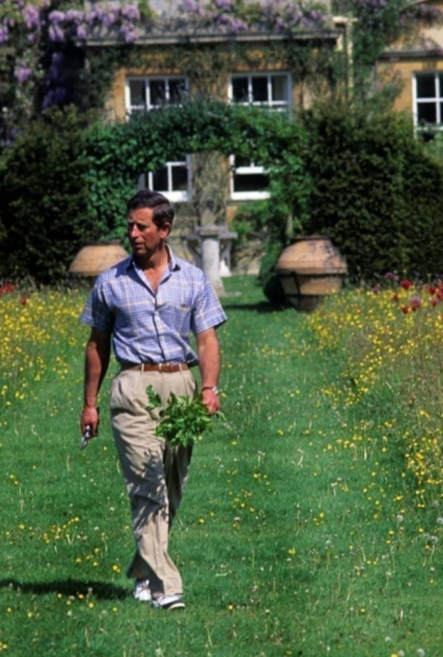 إنشاء مزرعة عضوية في هايجروف Highgrove